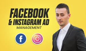 facebook and instagram ad management